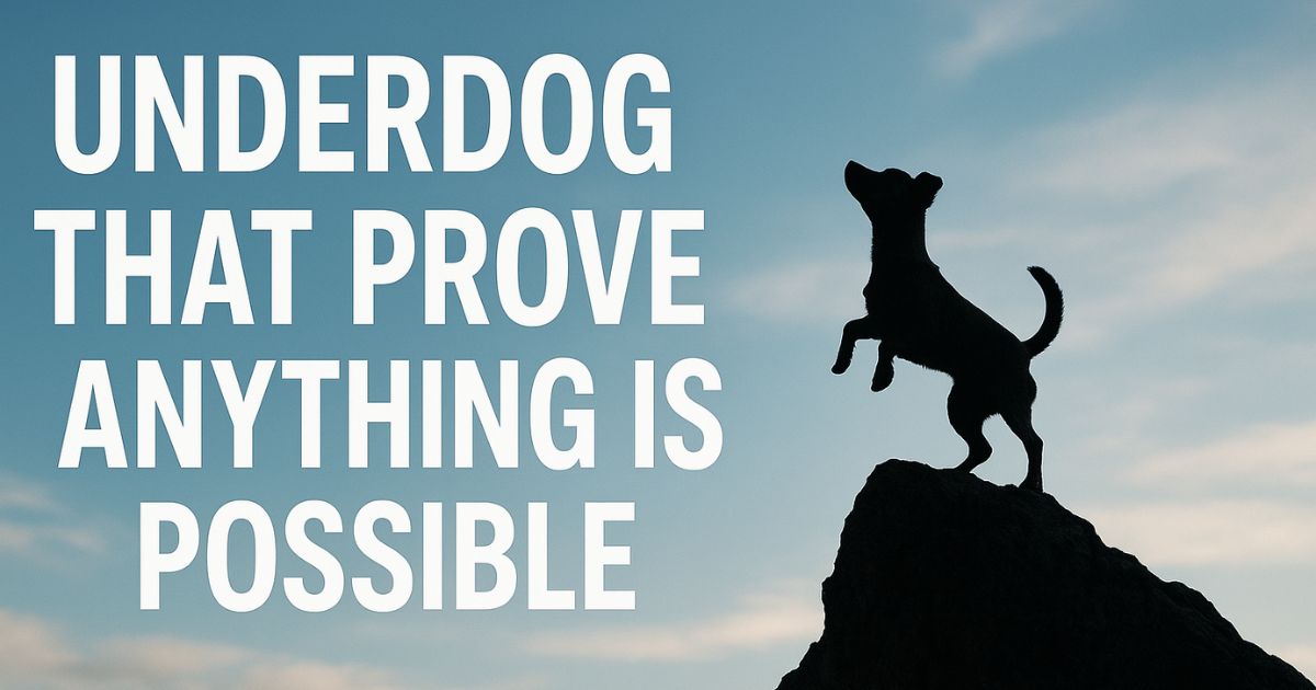 70 Best Underdog Quotes That Prove Anything Is Possible